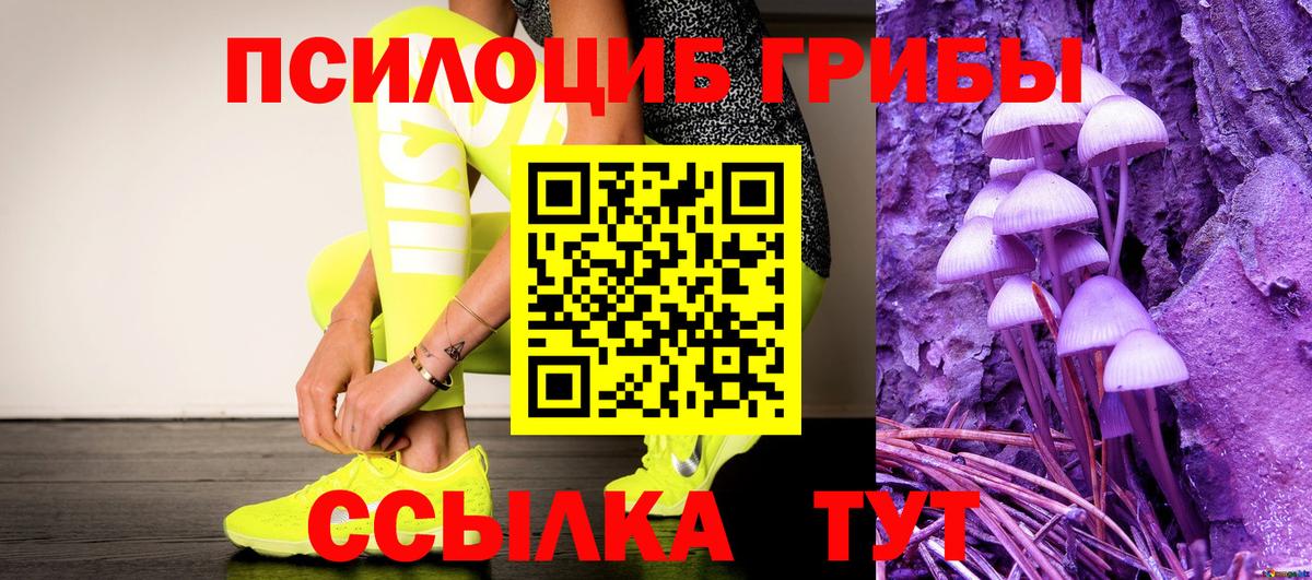 Псилоцибиновые грибы Psilocybine cubensis Лянтор