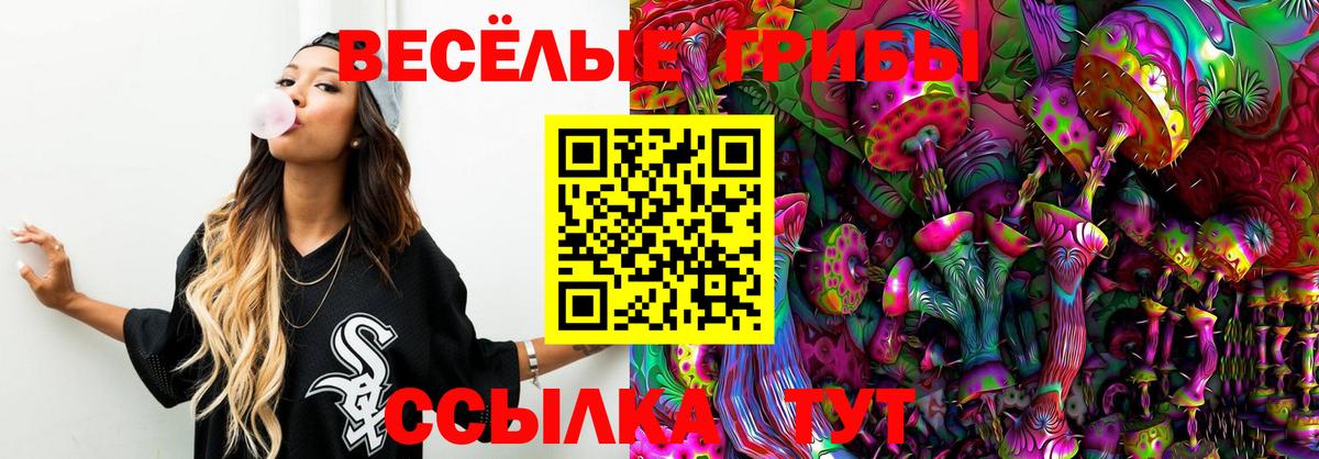 Лянтор  Псилоцибиновые грибы MAGIC MUSHROOMS  Вход с VPN 